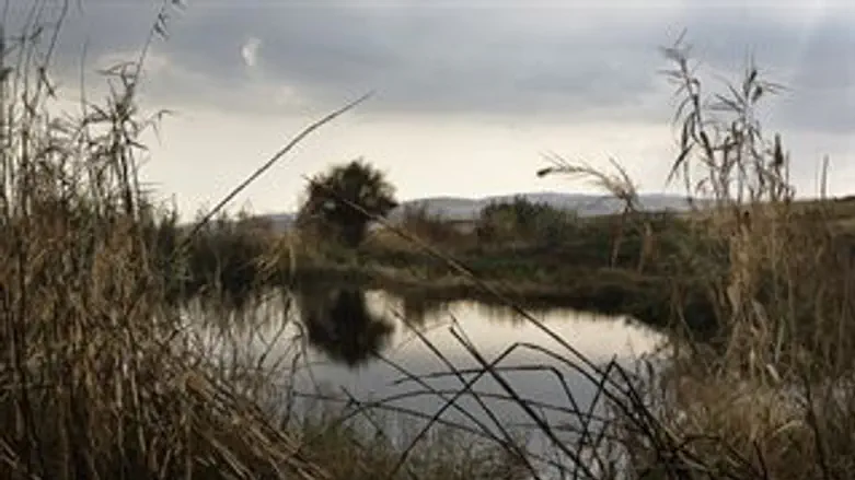 עין סוכות. ארכיון