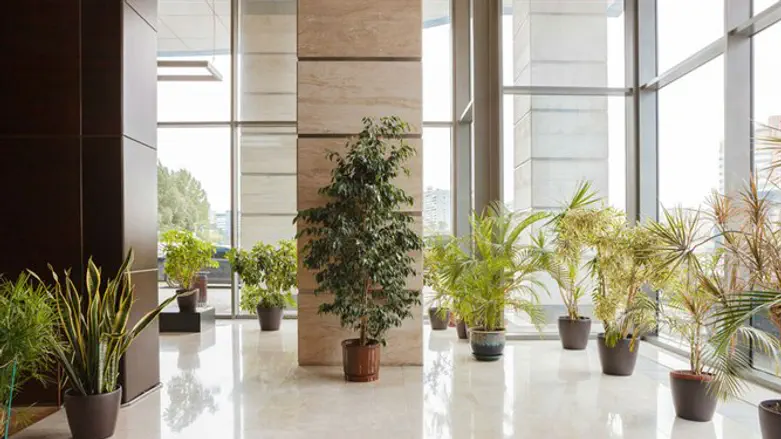 לובי של בניין