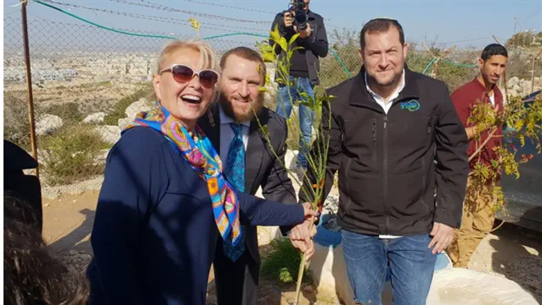 На месте высадки деревьев возле Пдуэля