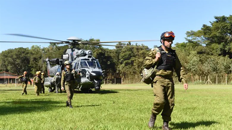 IDF aid delegation to Brazil
