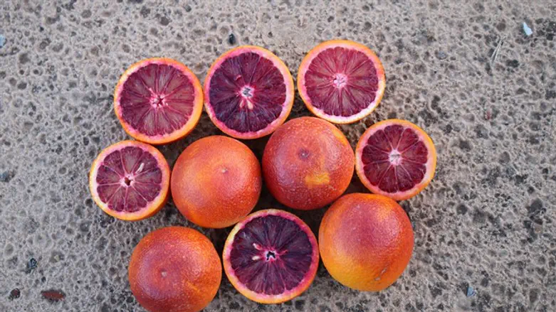 טעים גם בסחיטה