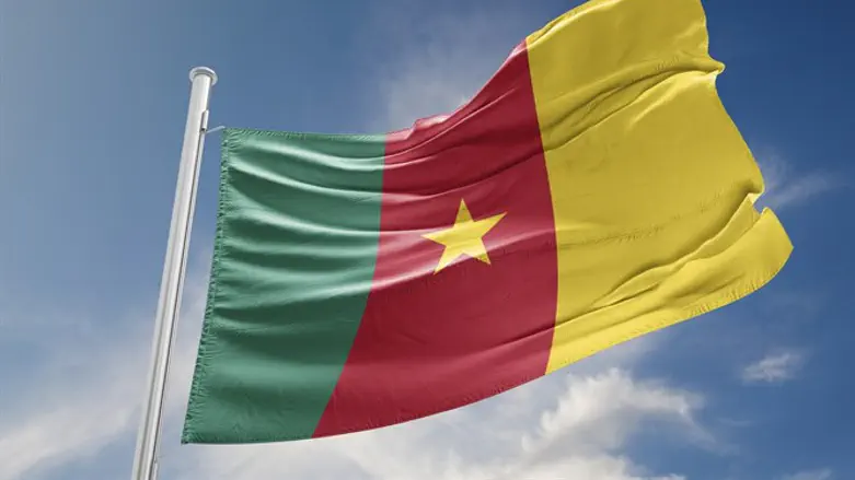 Flag of Cameroon