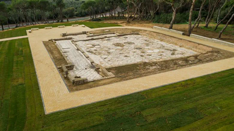 פסיפס הצפרים