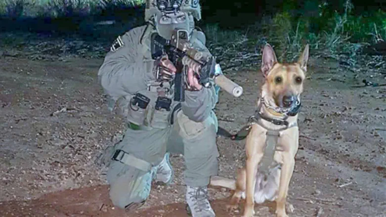 Zili and Sgt. Maj. A.