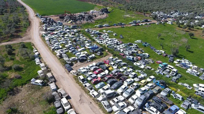 מגרטות הרכב הפיראטיות