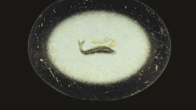 המזוודה שנשכחה