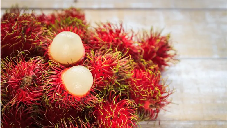 יש פירות שעדיין לא הגיעו למחנה יהודה