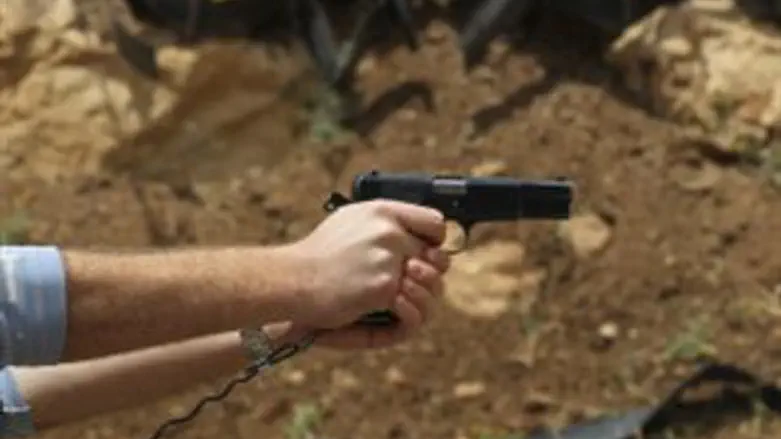 מי ירה ולמה?