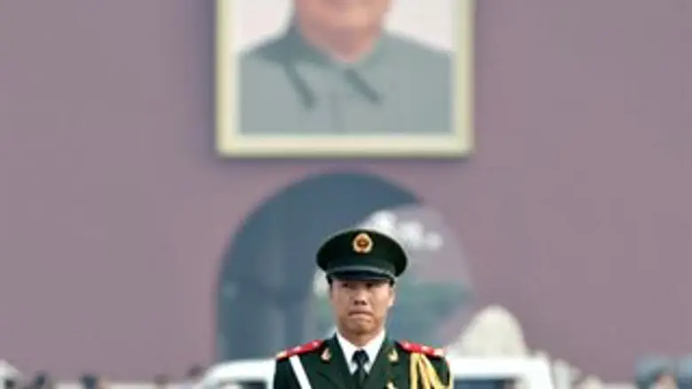 מה הרג להם את הפנדה?