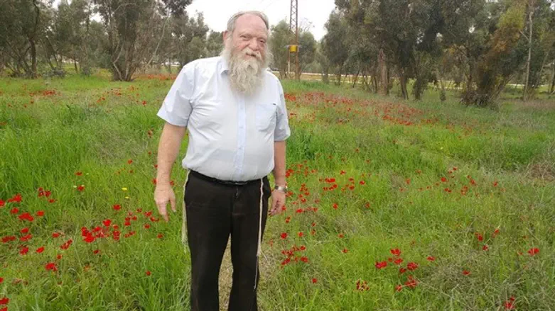 הרב זאב מנסבך זצ"ל