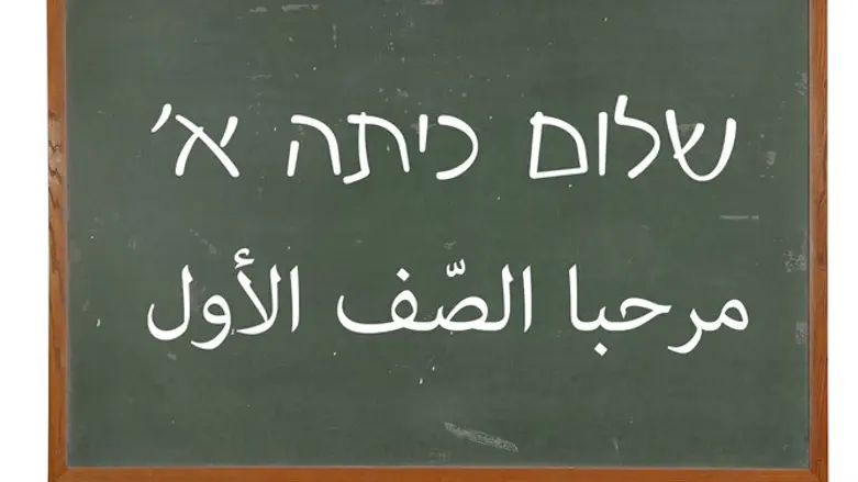 סכנת ההתבוללות החדשה. בית ספר דו-לשוני. 