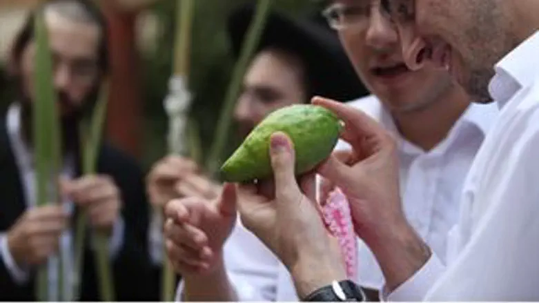 מצוות ארבעת המינים. השנה המחירים יקרים.