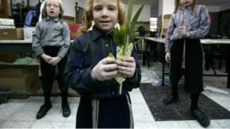 ארבעת המינים - גם לילדים