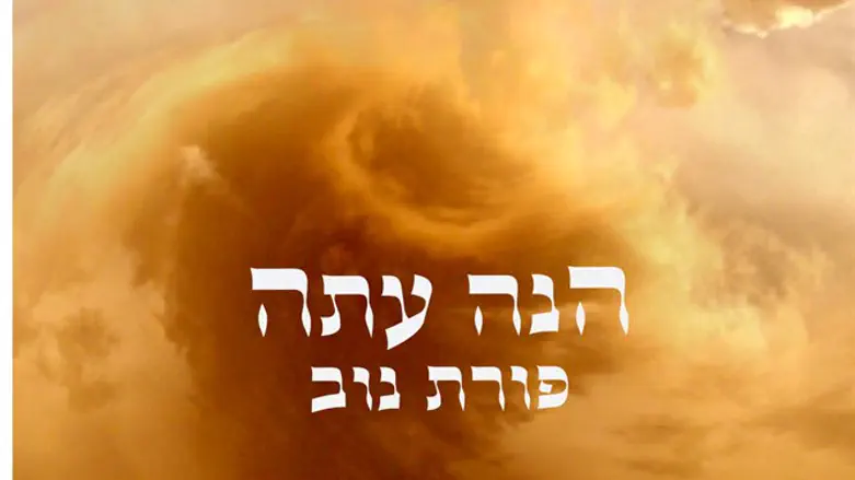 מהקליקה שבה גדלו סיני תור וביני לנדאו. הנה עתה