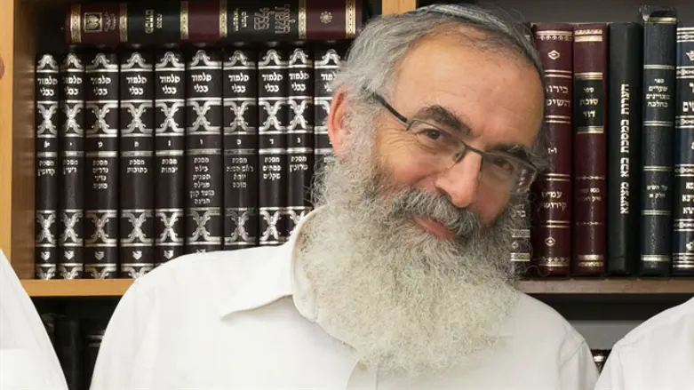 הרב דוד סתיו