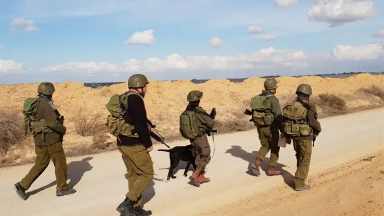 פעילות אית''ן