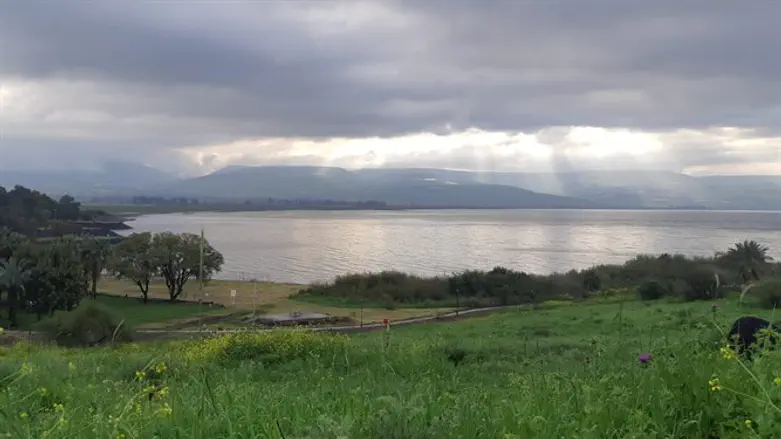 הכנרת הבוקר לאחר גשמי הברכה בסוף השבוע
