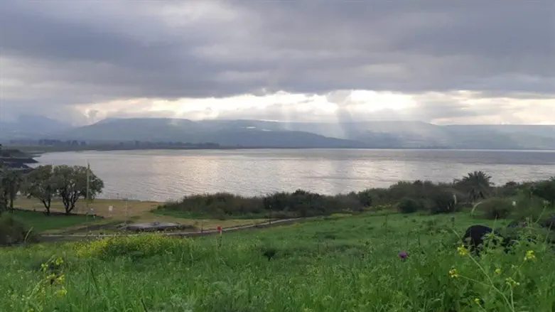 Kinneret