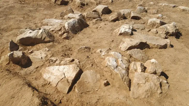Some of the archaeological finds