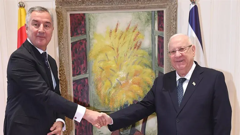 ריבלין וג'וקאנוביץ' 