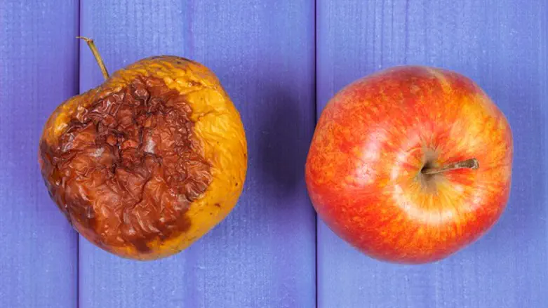 מדבקה קטנה עושה את כל ההבדל