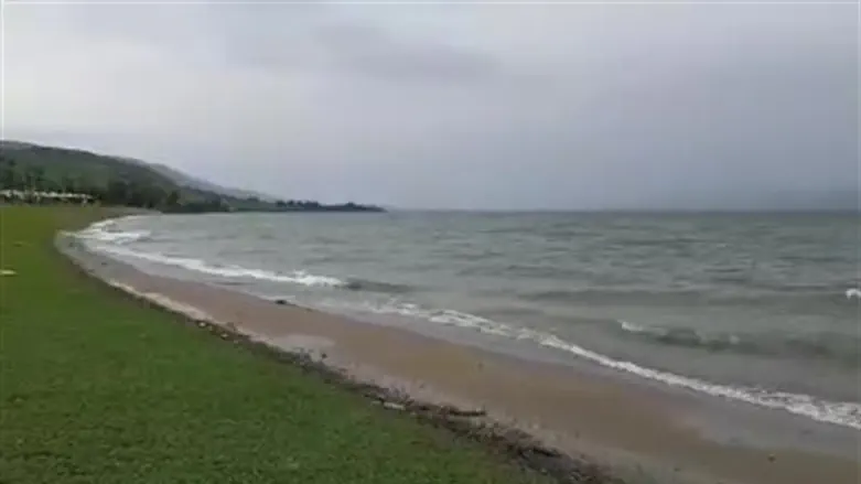 The Kinneret (Sea of Galilee)