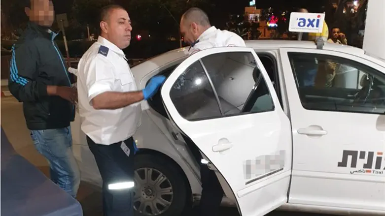 להביא חיים חדשים לעולם