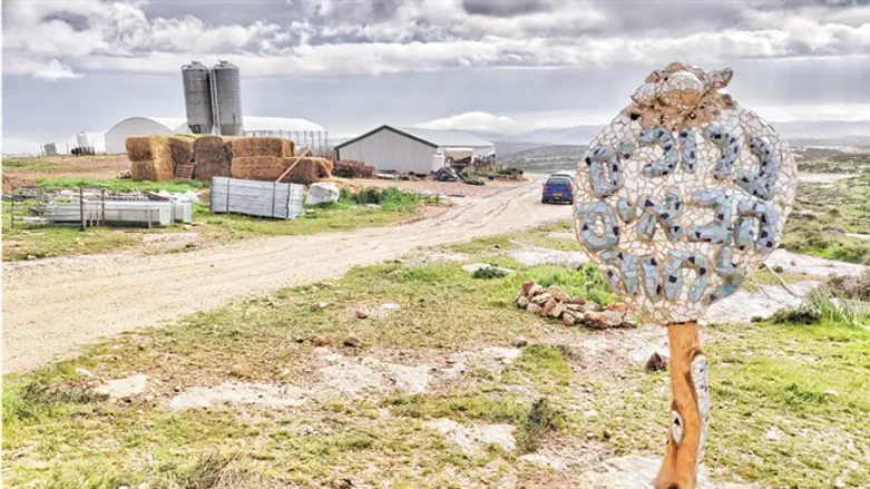 פני קדם. ארכיון