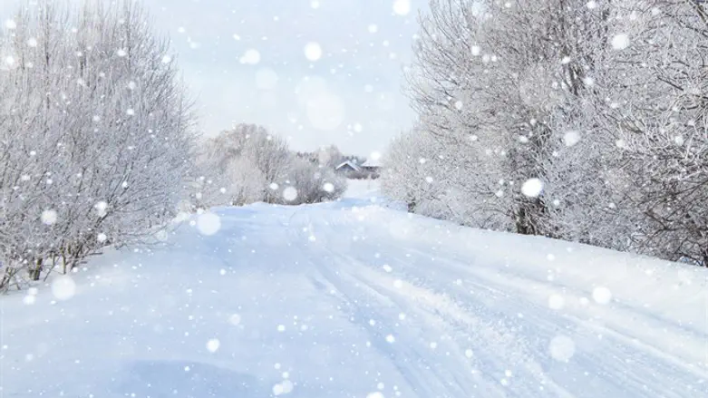 Blizzard (illustrative)