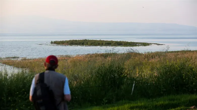 Кинерет (файл)