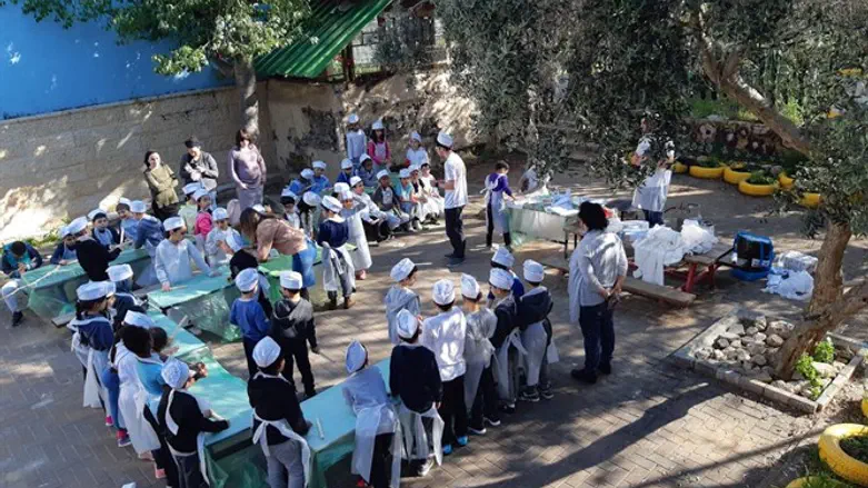 אפיית מצות במרכזי זהות