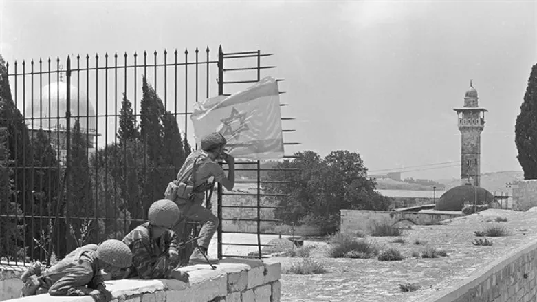 מתוך התערוכה