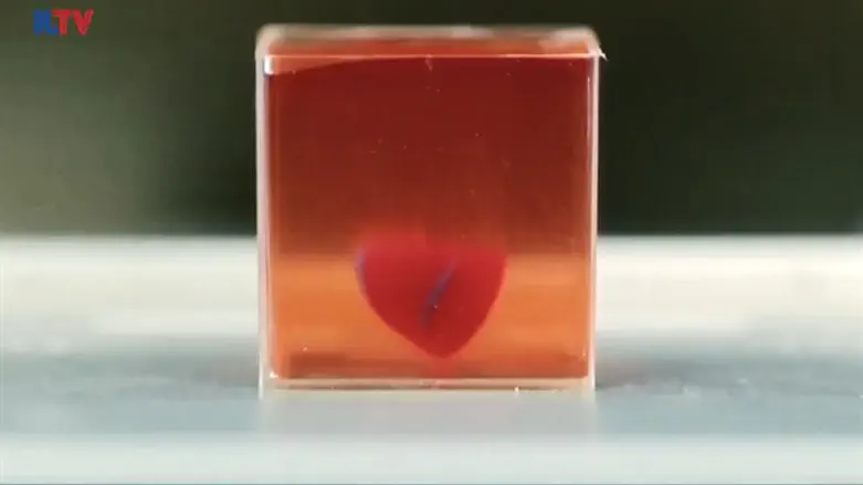 World’s first 3-D printed heart