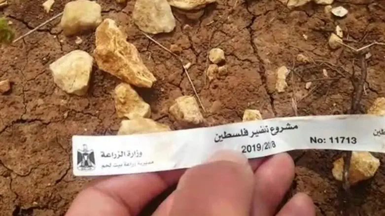 "Зеленая Палестина" - новое оружие арабов?