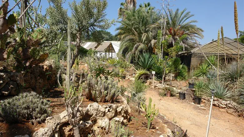 יום פתוח בגנים הבוטניים