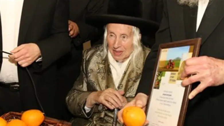 האדמו"ר מקאליב