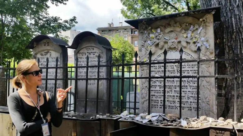 ינינה נסקלסקה - באביק