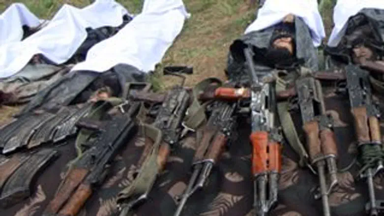 יש הרבה מה לאסוף...