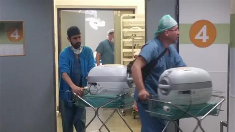 העברת הכליות