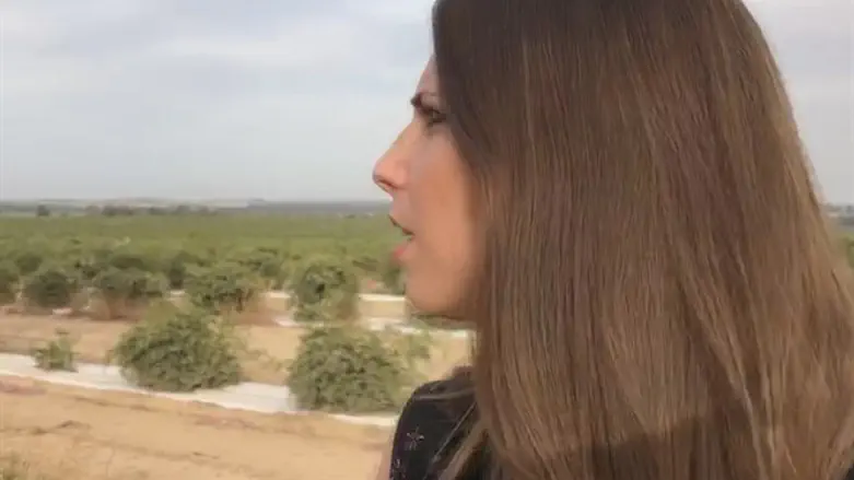 Михаль Шир Сегман