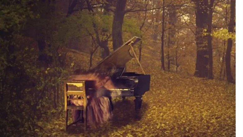 מנעד רגשי רחב. קרן שמש ביער