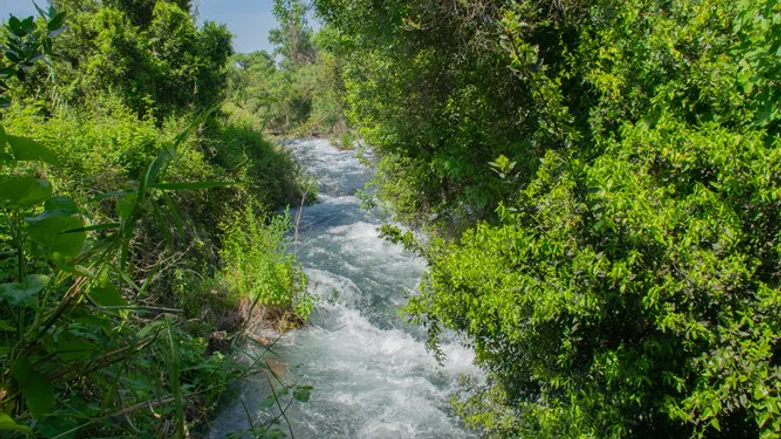 השבילים עדיין מלאים מים. נחל דן
