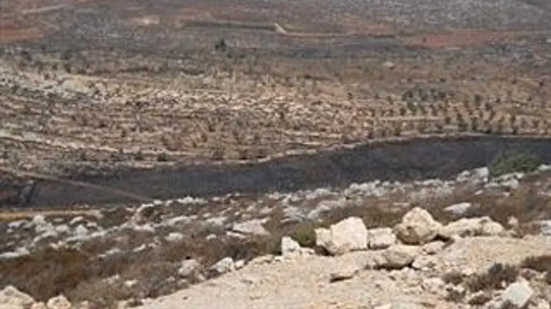 שדות שהוצתו ע"י פלסטינים באזור בנימין.