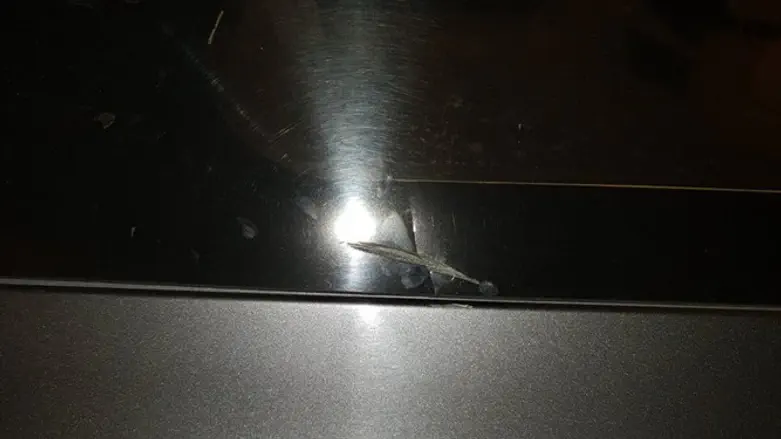 Последствия "каменной атаки". Иллюстрация