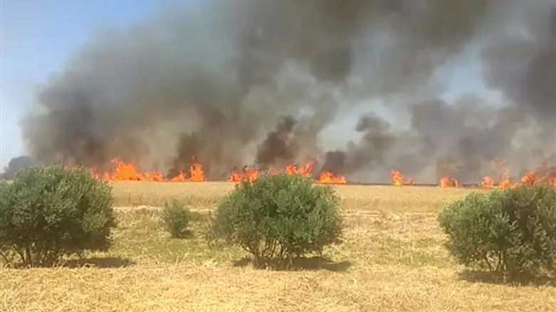 שריפה בעוטף עזה