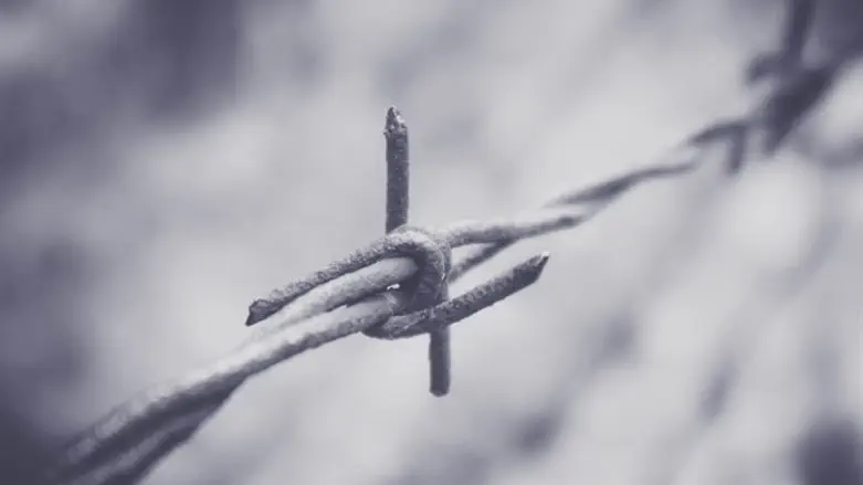 Barbed wire