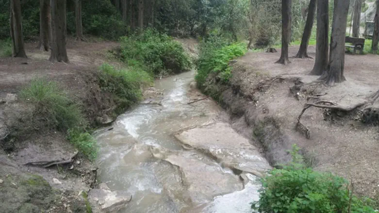 נחל עין השופט 