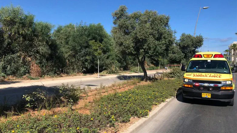 Скорая помощь. Иллюстрация