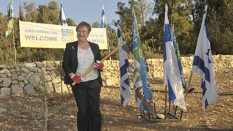 נשיאת פינלנד נוטעת עץ