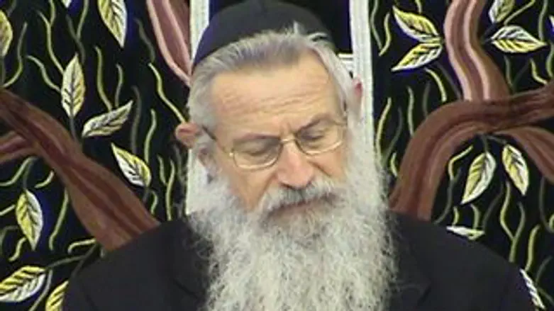 הרב זלמן מלמד